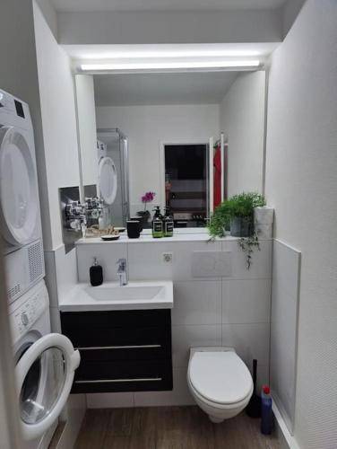 foto7