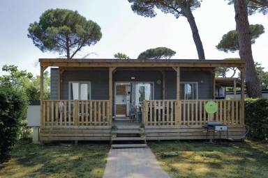 Camping  Montescudaio