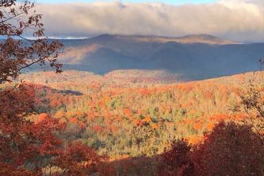 Cabin Dahlonega