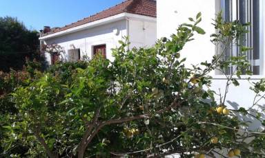 Apartamento Císsamos