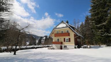 Ferienhaus Bärental