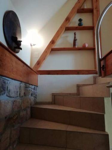 foto11