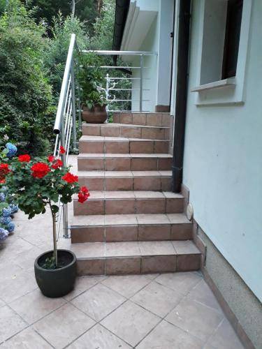 Apartma  Brezje pri Dobrovi