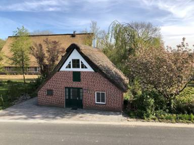 House Balje