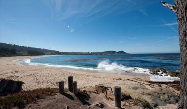 Cottage Carmel-by-the-Sea