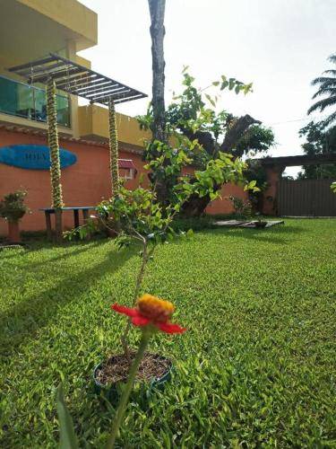 foto8