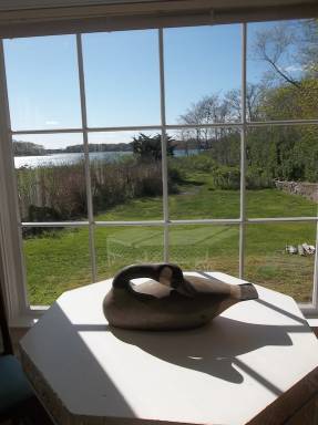 Cottage Pet-friendly North Haven
