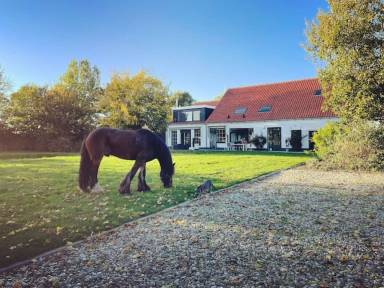 Bed and breakfast Burgh-Haamstede