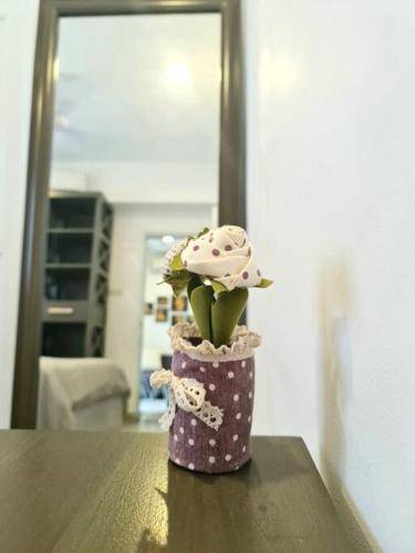 foto18