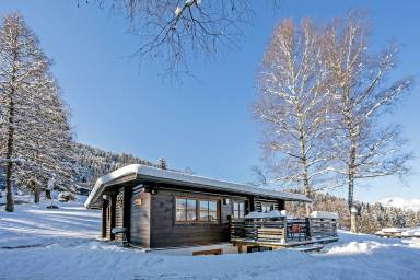 Chalet  Niederau