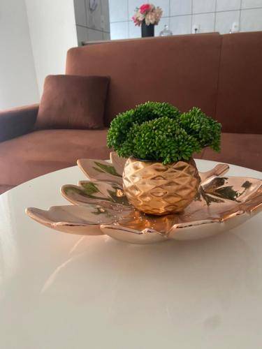 Apartamento Santo Antônio