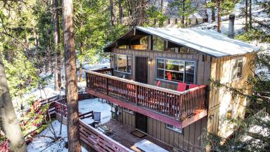 Cabin Twin Peaks