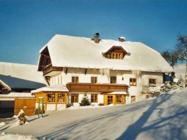 Appartement Altmünster