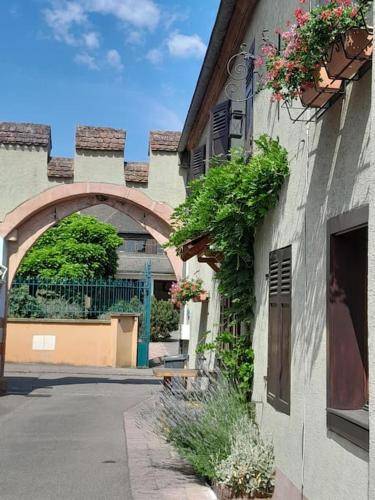 Appartement Bergheim