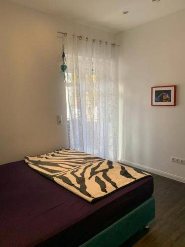 foto16
