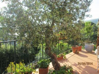 Appartamento 44 m²