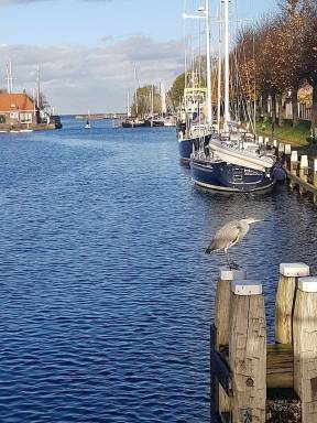 Ferienhaus Medemblik