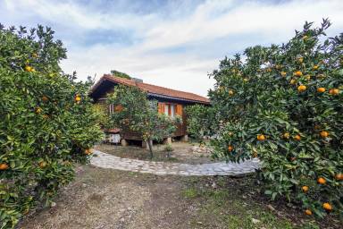 Maison de vacances 60 m²