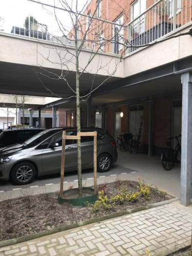 50 m² Ferienwohnung