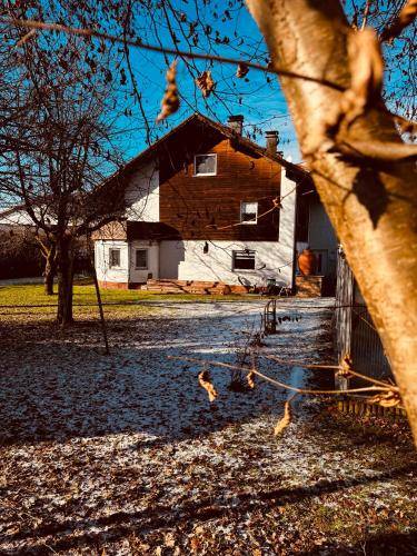 foto20