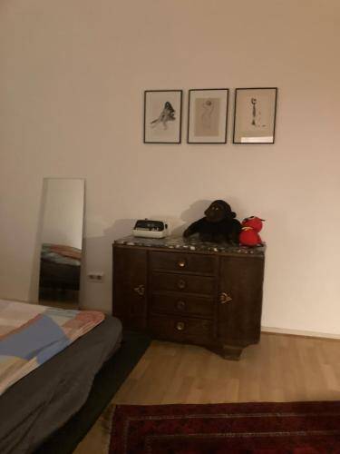 foto6
