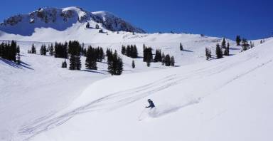 Condo Snowbird