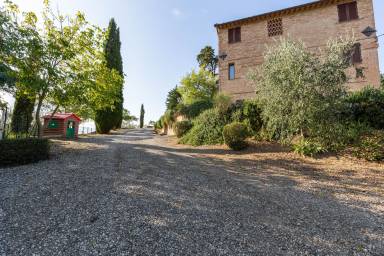 Farmhouse Buonconvento