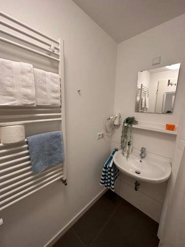 foto12