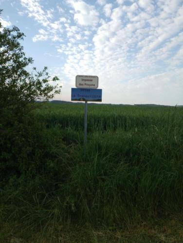 foto18