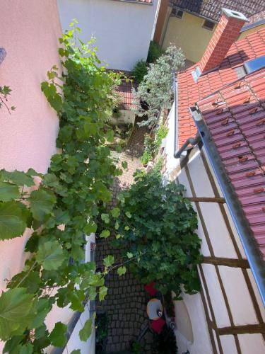 foto17
