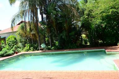 Bed & Breakfast Pool Rowena