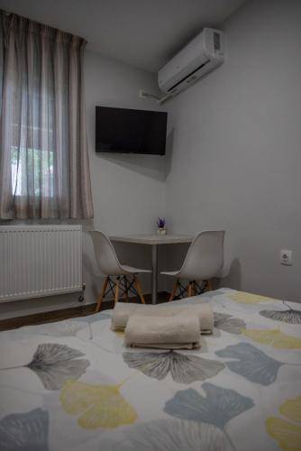 foto15