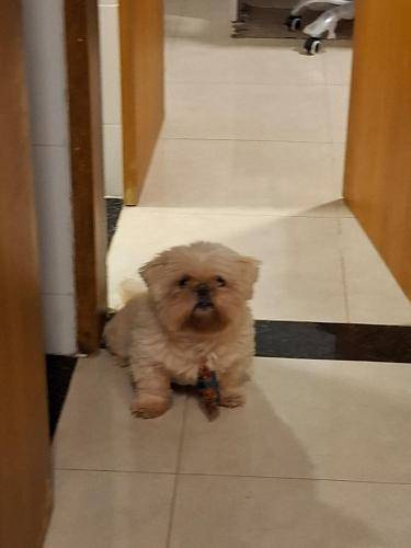 foto16