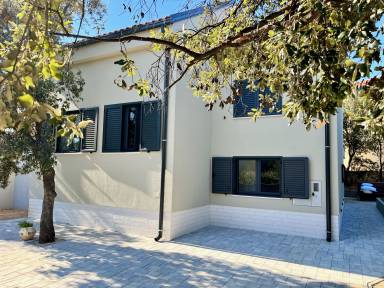 Apartment Mandre