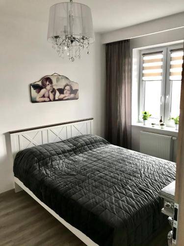 Apartament Cieszyn
