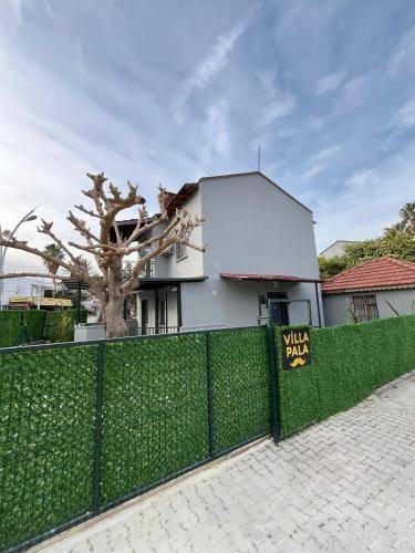 Dom Çamyuva Belediyesi