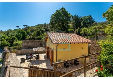 Appartamento Porto Santo Stefano