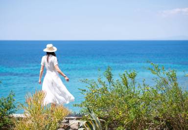 Villa Yard Neos Marmaras