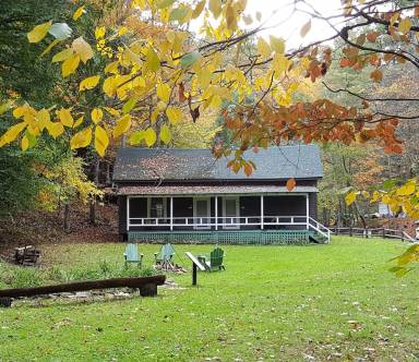Cabin  Chestnut Hill