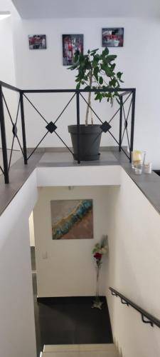 foto13
