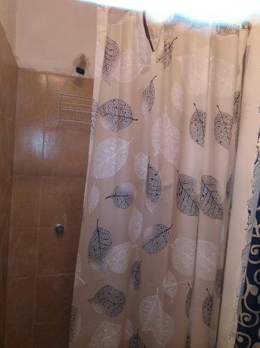 foto17