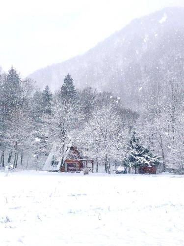 Chalet Brod na Kupi