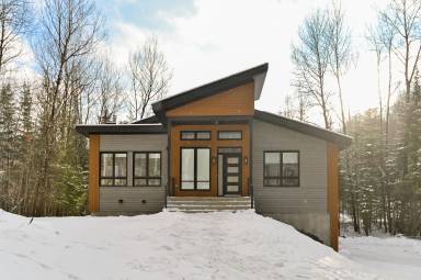 Chalet Pet-friendly Saint-Faustin-Lac-Carré