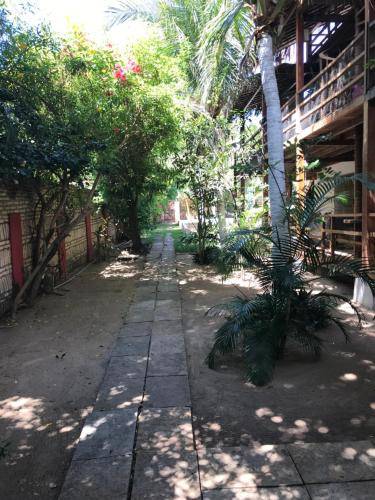 foto11