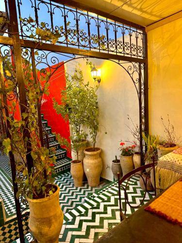 Casa Fez