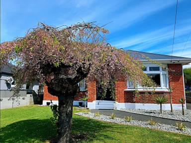 House Dunedin