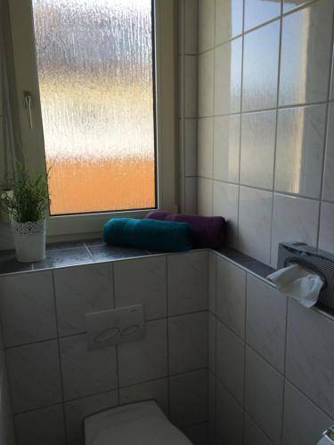 foto18