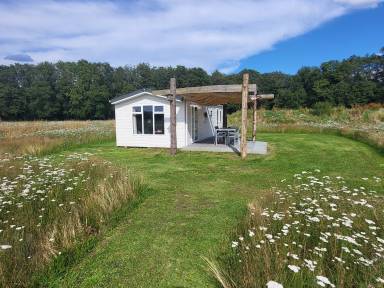 Chalet 38 m²