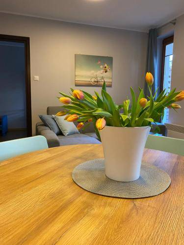 Apartament Stegna