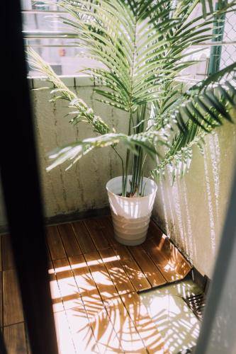 foto11